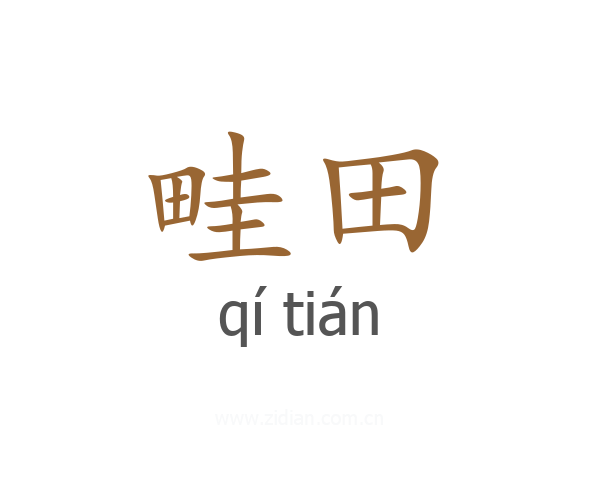 畦田