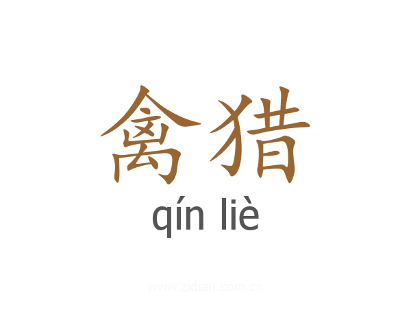 禽猎