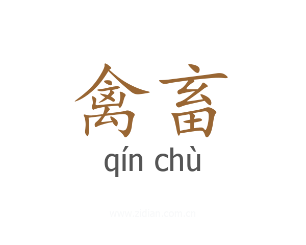 禽畜