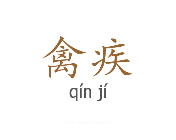 禽疾