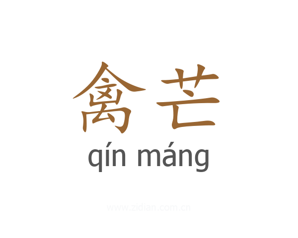 禽芒