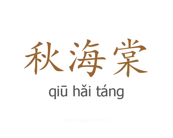 秋海棠