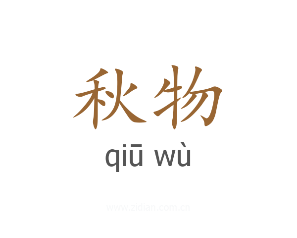 秋物