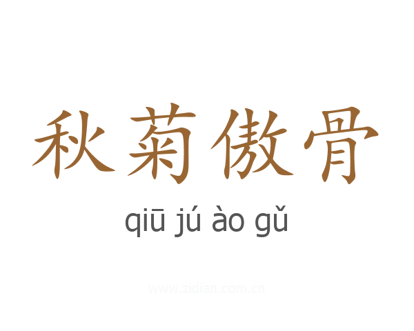 秋菊傲骨