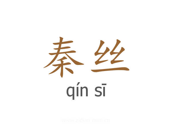 秦丝