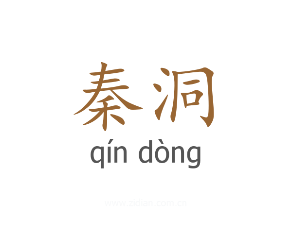 秦洞