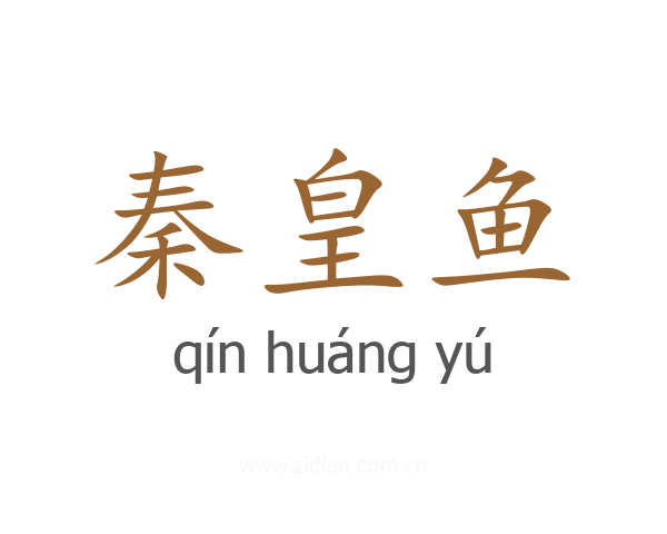秦皇鱼