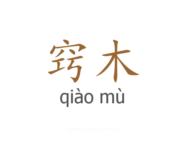 窍木
