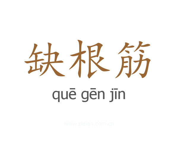 缺根筋