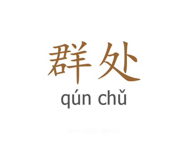 群处