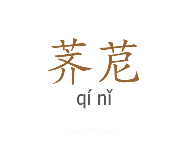 荠苨