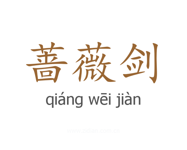 蔷薇剑