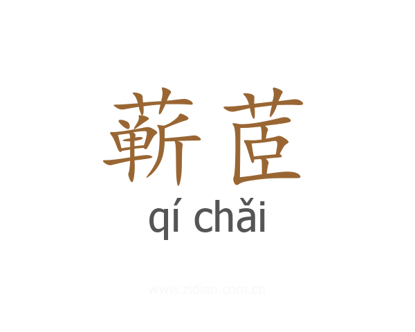 蕲茝