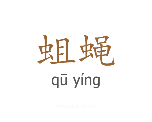 蛆蝇