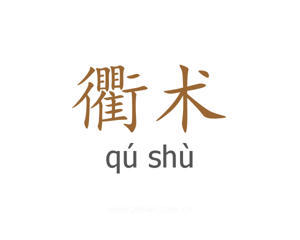衢术