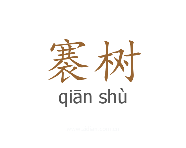 褰树