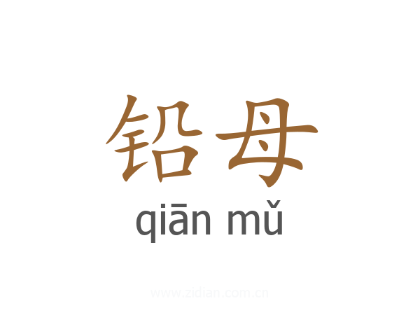 铅母