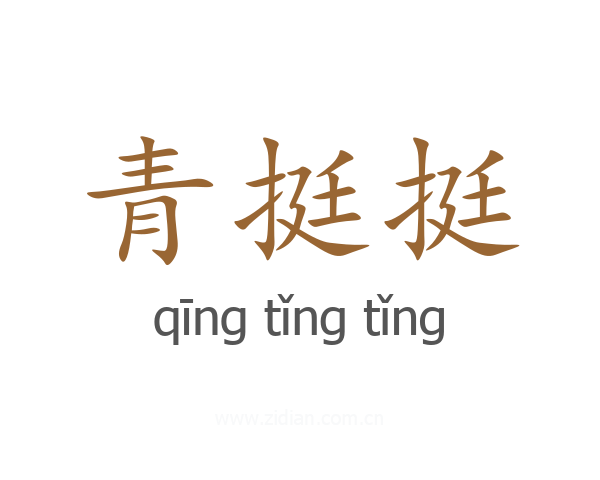 青挺挺