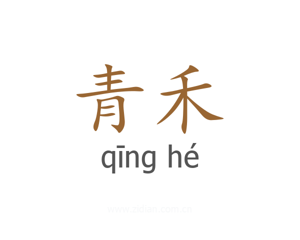 青禾
