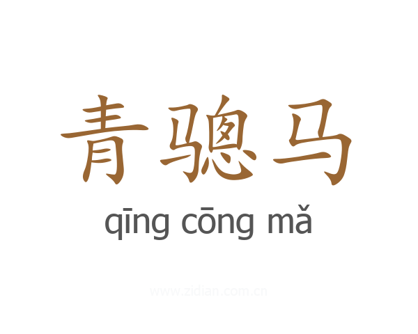 青骢马