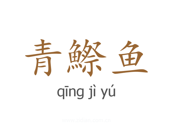 青鰶鱼