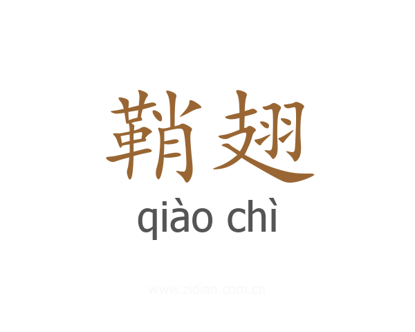 鞘翅