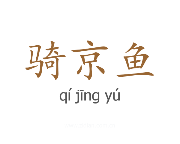 骑京鱼