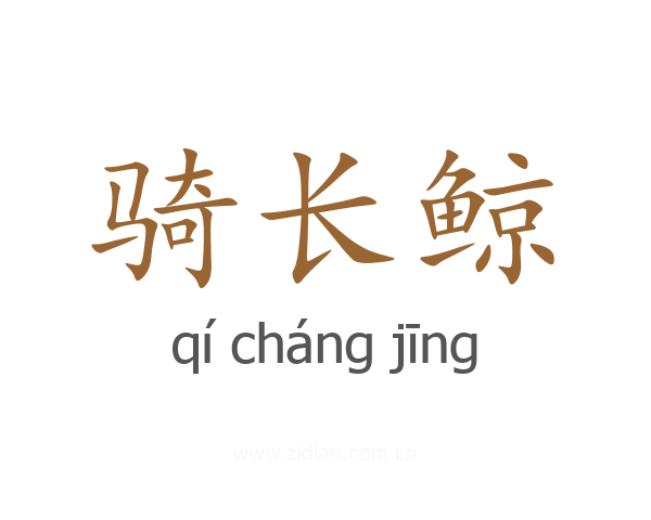 骑长鲸