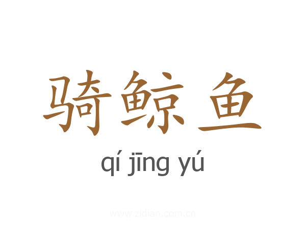 骑鲸鱼