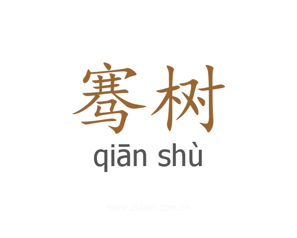 骞树