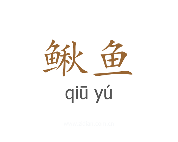 鳅鱼
