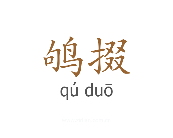 鸲掇