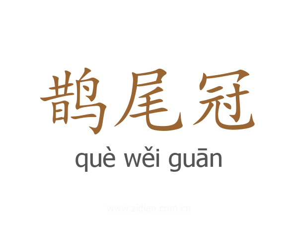 鹊尾冠