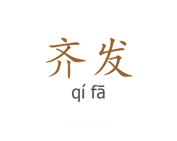 齐发