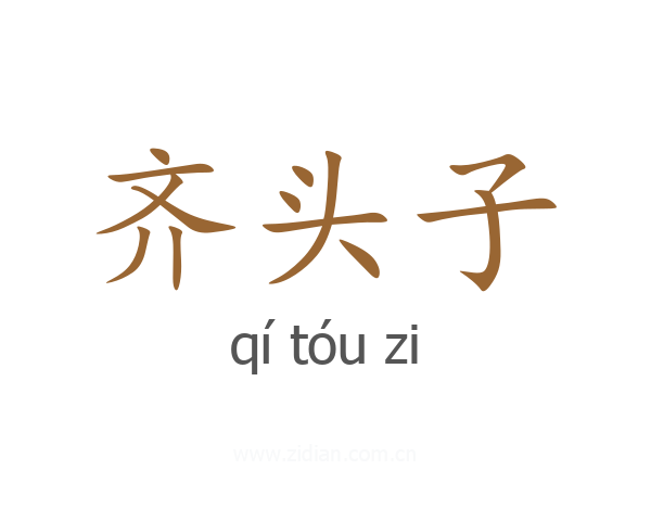 齐头子