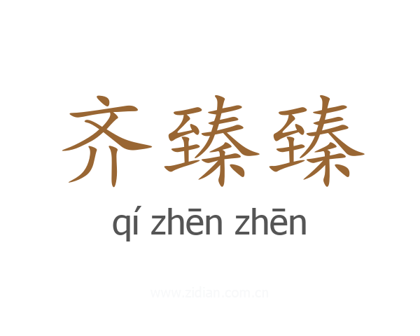 齐臻臻