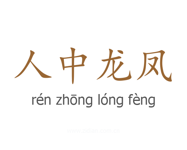 人中龙凤
