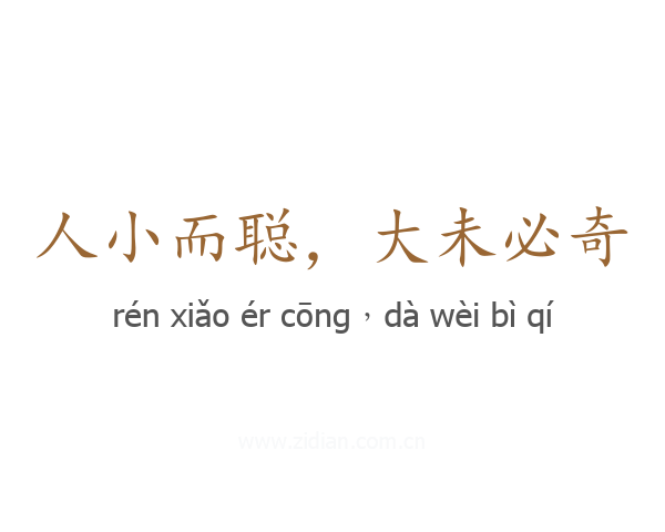 人小而聪，大未必奇