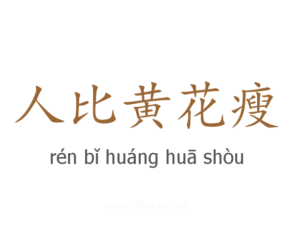 人比黄花瘦