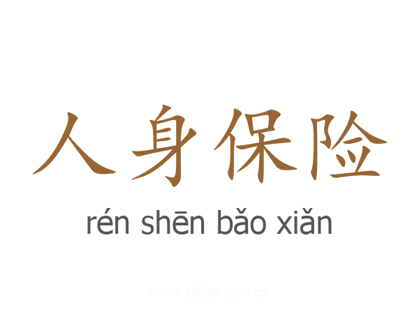 人身保险