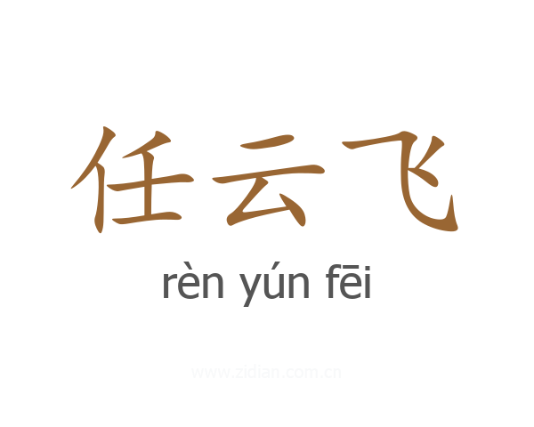 任云飞