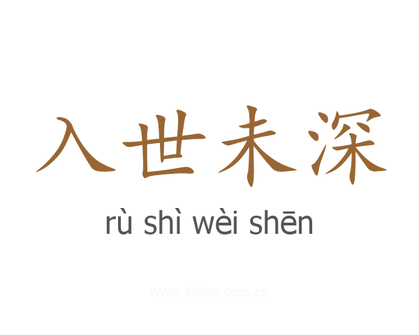 入世未深