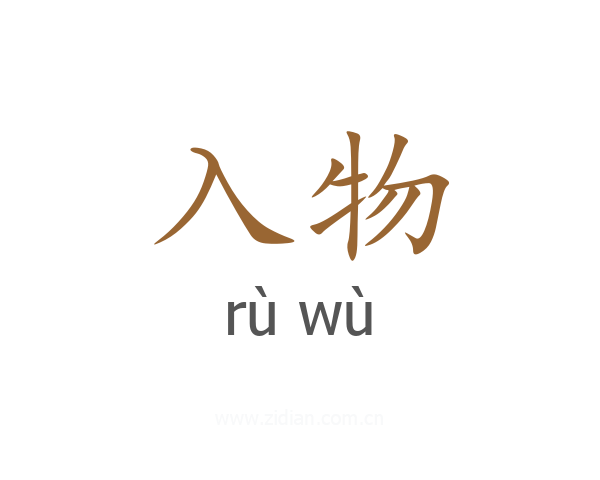 入物