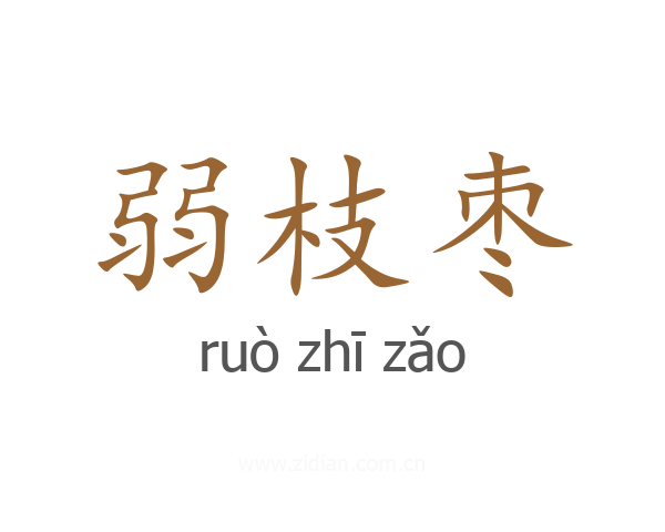弱枝枣