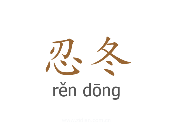 忍冬