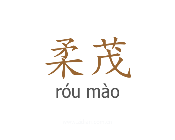 柔茂