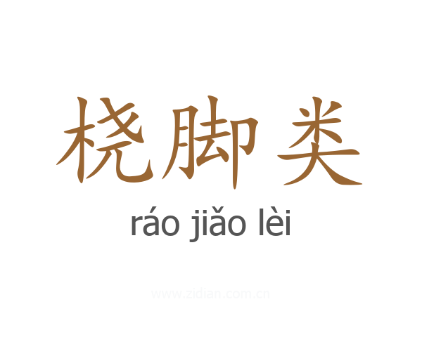 桡脚类