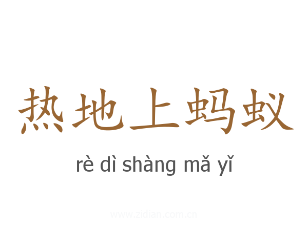 热地上蚂蚁