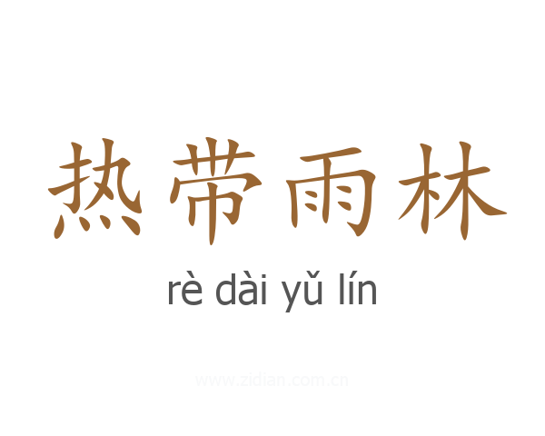 热带雨林