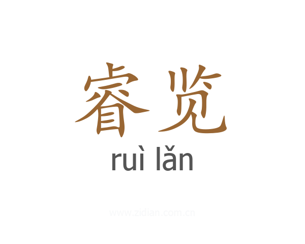 睿览